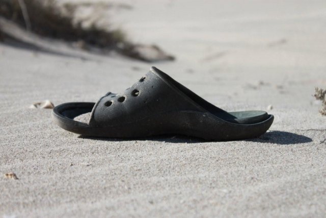 Croc seen on beach between Horrocks and Coronations!